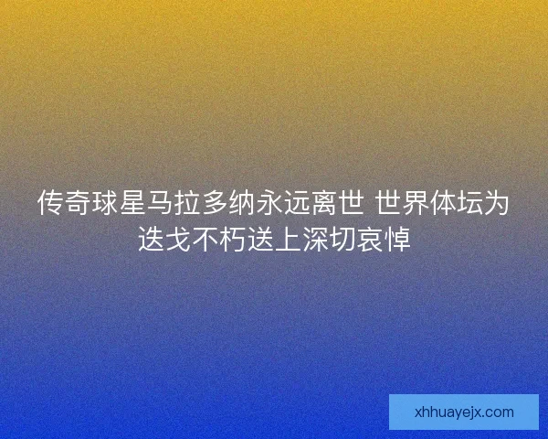 传奇球星马拉多纳永远离世 世界体坛为迭戈不朽送上深切哀悼 传奇球星马拉多纳永远离世 世界体坛为迭戈不朽送上深切哀悼